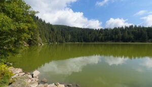 Lac vert à Soultzeren