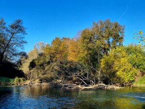 Le Grand Ried à Rhinau